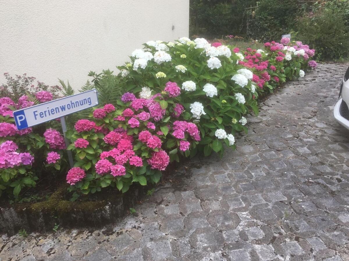 Ferienwohnung Loretta Traben-Trarbach Exterior foto